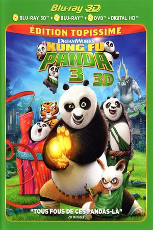Kung Fu Panda 3's poster