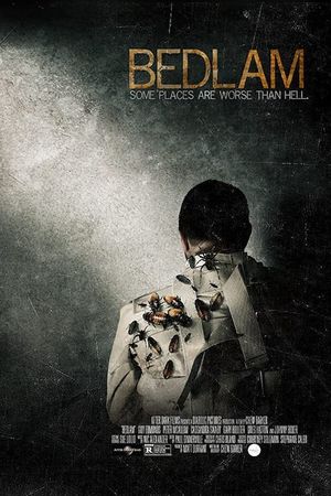 Bedlam's poster
