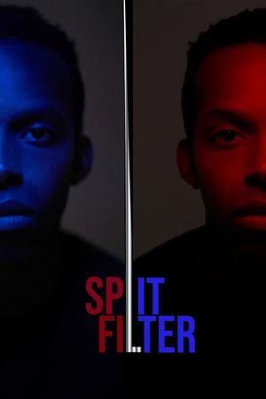 Split|Filter's poster