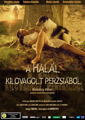 Death Rode Out of Persia's poster