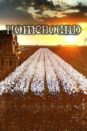 Homebound's poster