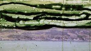 Fragment of a Patagonia Landscape's poster
