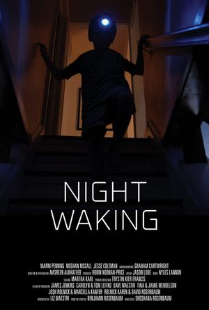 Night Waking's poster