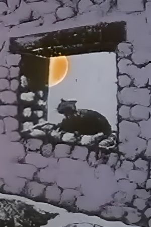 The Chameleon Cat's poster