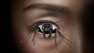Control Freak's poster