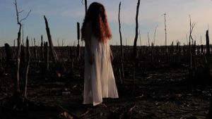 The Girl in the Cornfield's poster
