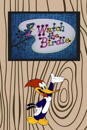 Watch the Birdie's poster