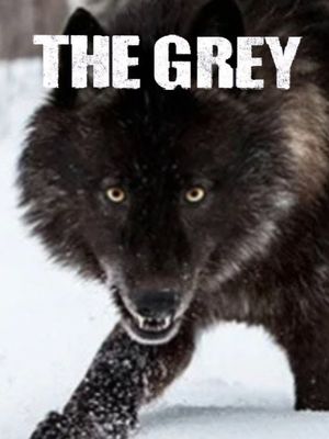The Grey's poster