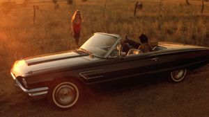 Wild at Heart's poster