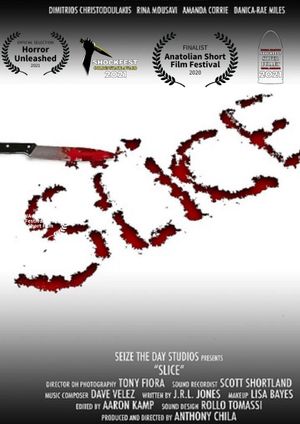 Slice's poster