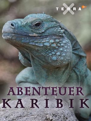 Abenteuer Karibik's poster