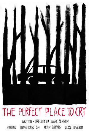 The Perfect Place to Cry's poster