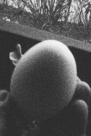 13 Eggs's poster