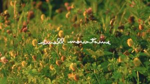 Small Mountains's poster