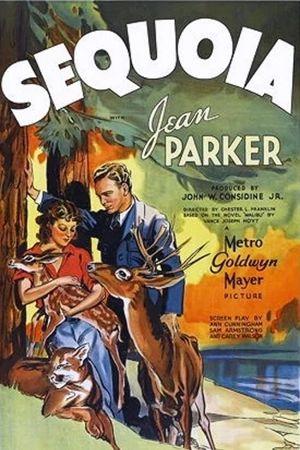 Sequoia's poster