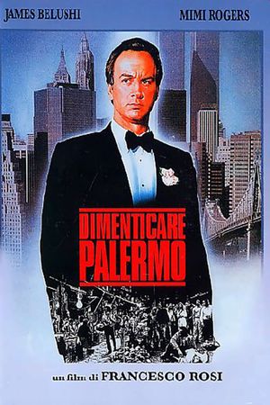 The Palermo Connection's poster