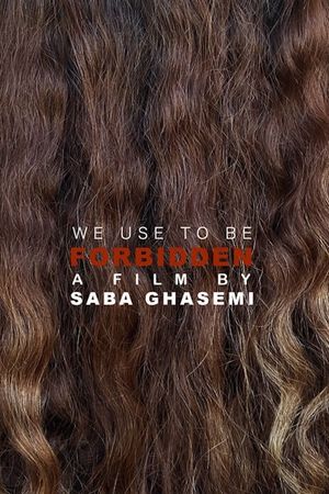 We Used To Be Forbidden's poster