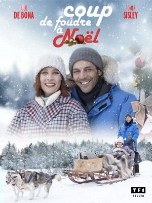 Love in Lapland's poster