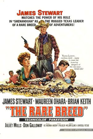 The Rare Breed's poster
