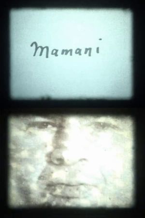Mamani's poster