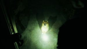 It: Chapter Two's poster
