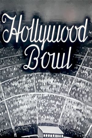 Hollywood Bowl's poster