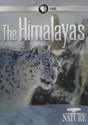 The Himalayas's poster