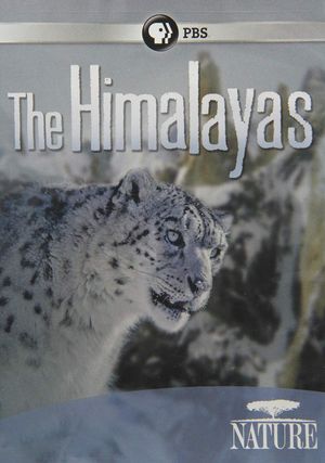 The Himalayas's poster image