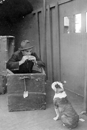 The Dog in the Baggage Car's poster