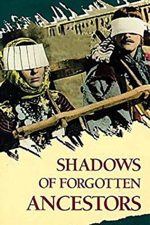Shadows of Forgotten Ancestors's poster image