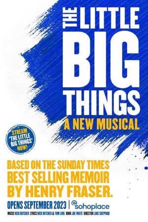 The Little Big Things's poster