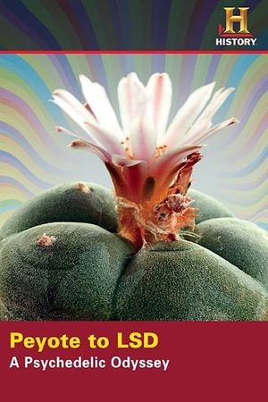 Peyote to LSD: A Psychedelic Odyssey's poster