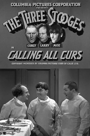 Calling All Curs's poster