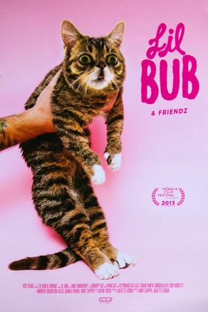 Lil Bub & Friendz's poster