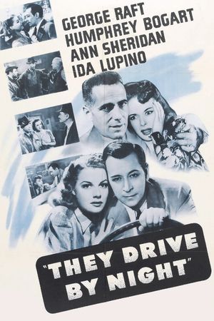 They Drive by Night's poster