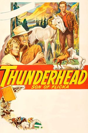 Thunderhead: Son of Flicka's poster