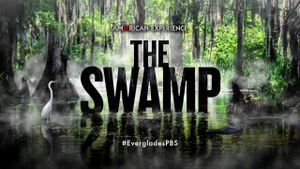 The Swamp's poster