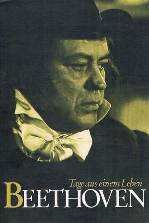 Beethoven-Days in a Life's poster