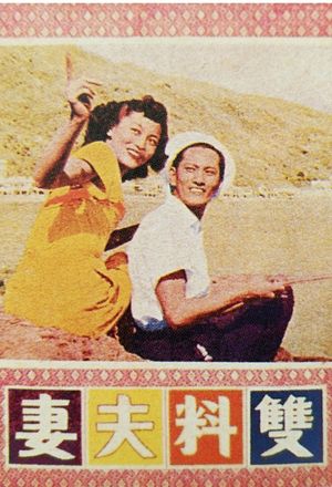 双料夫妻's poster