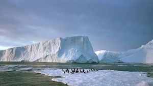 Antarctica: On the Edge's poster