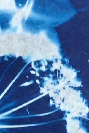 Into the Blue's poster