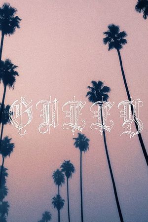 Gully's poster