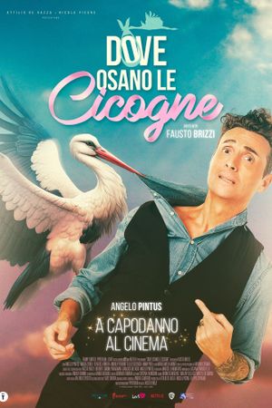 Dove osano le cicogne's poster