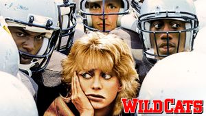 Wildcats's poster