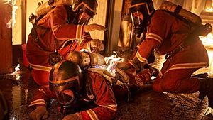 The Firefighters's poster