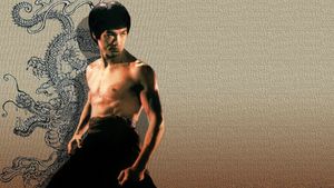 The Way of the Dragon's poster