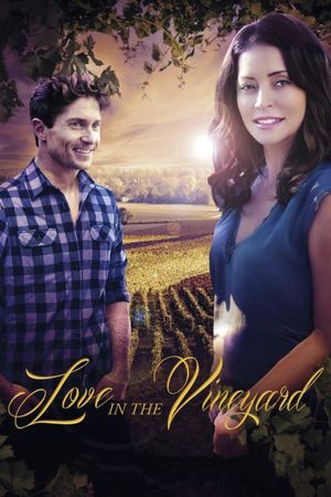 Love in the Vineyard's poster