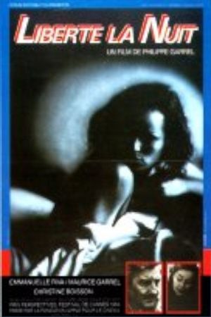 Liberty at Night's poster