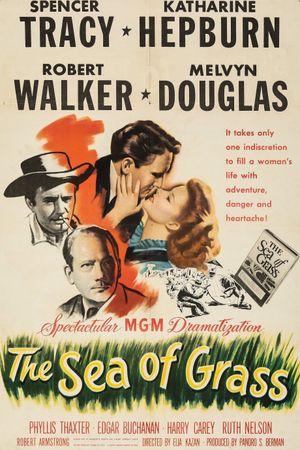 The Sea of Grass's poster