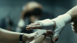 The Boxer's poster